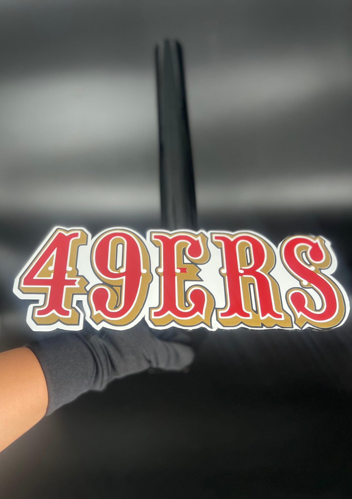 49ers hitch/Flag pole holder