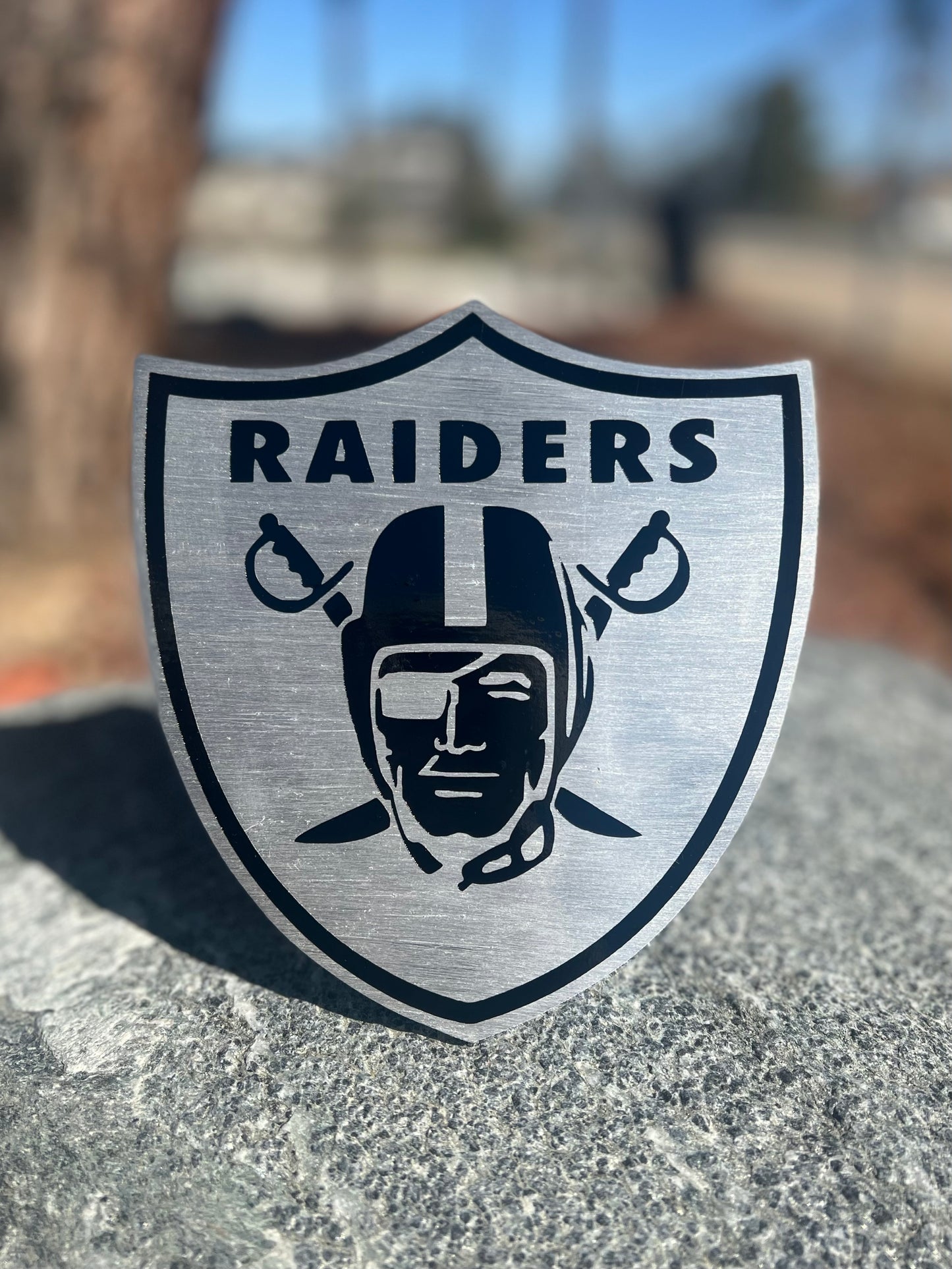 Brush raider shield