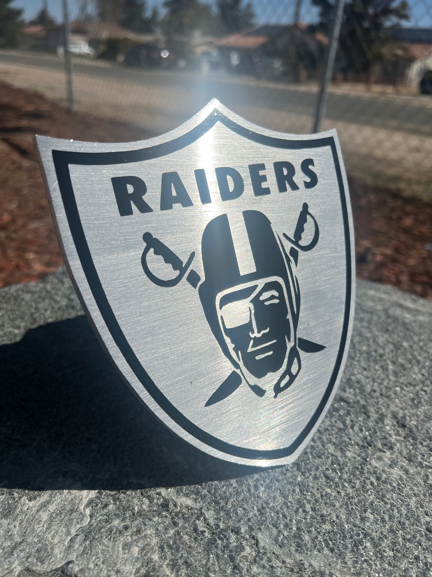 Brush raider shield