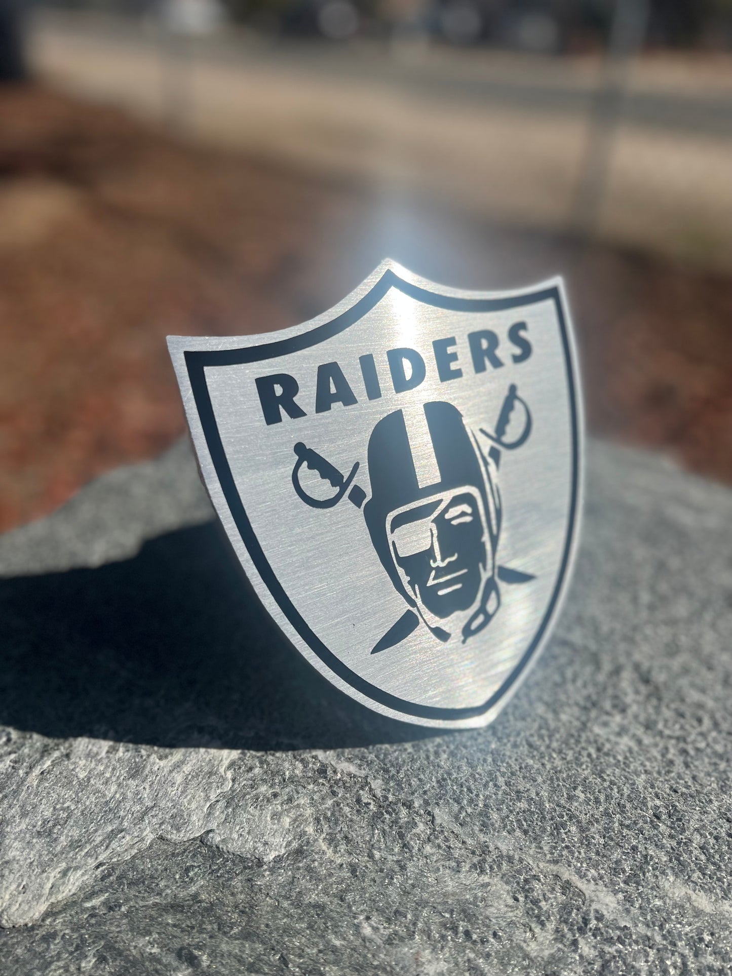 Brush raider shield