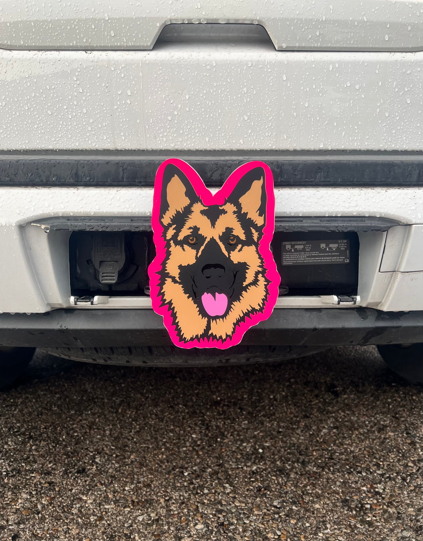 German Shepherd (pink background)